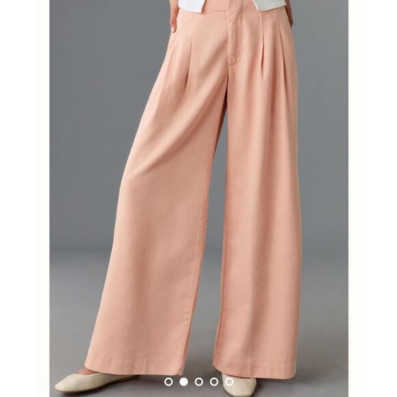 Maeve Pleated Wide Leg Pants Cotton/Tencel Neutral Pink W Sz 33 NWT - Picture 5 of 12